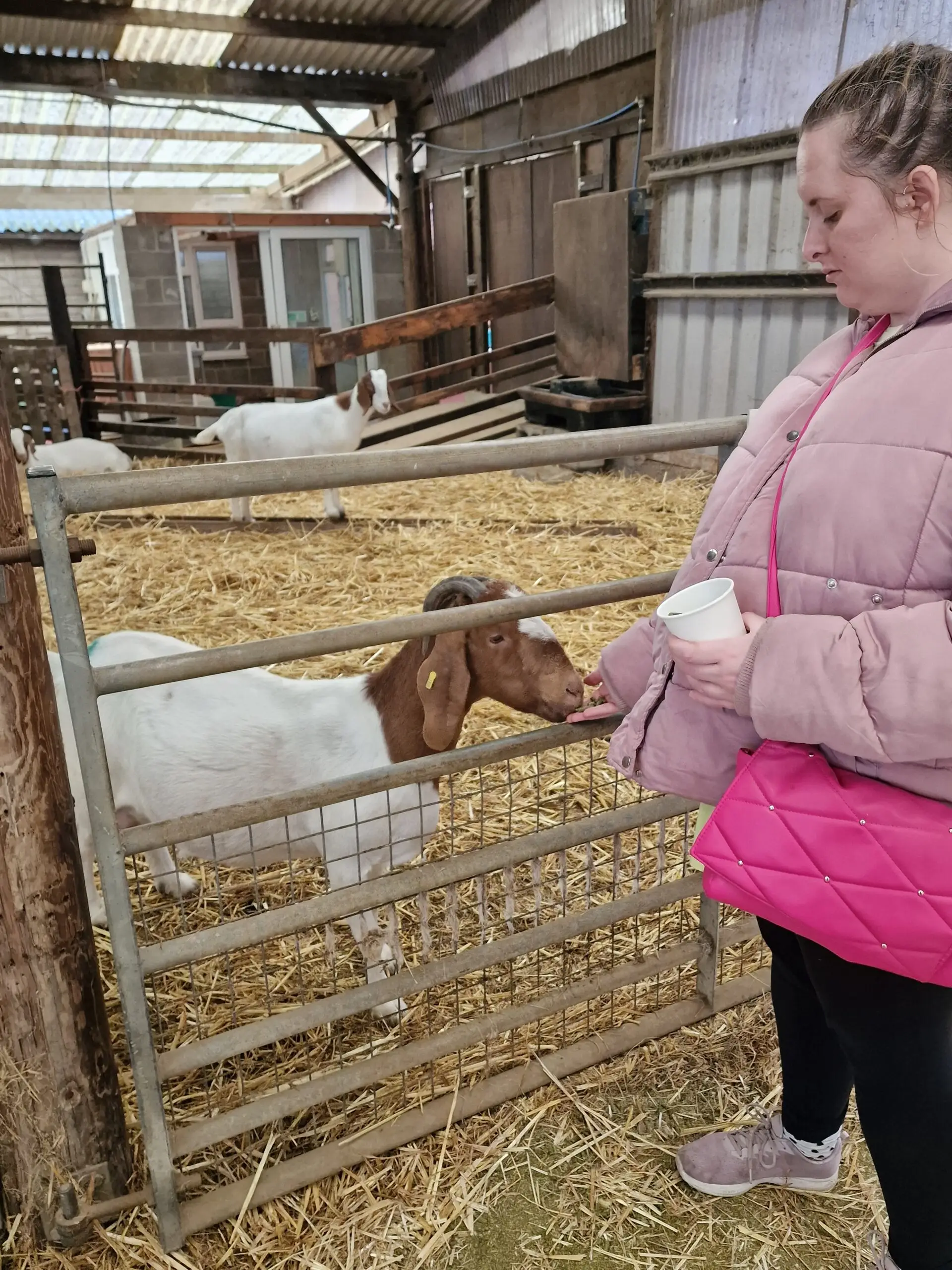 Honeysuckle Farm