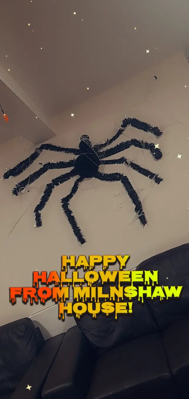 giant spider decoration