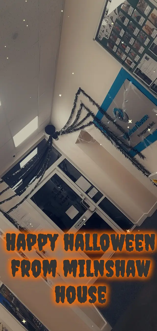 giant spider decoration
