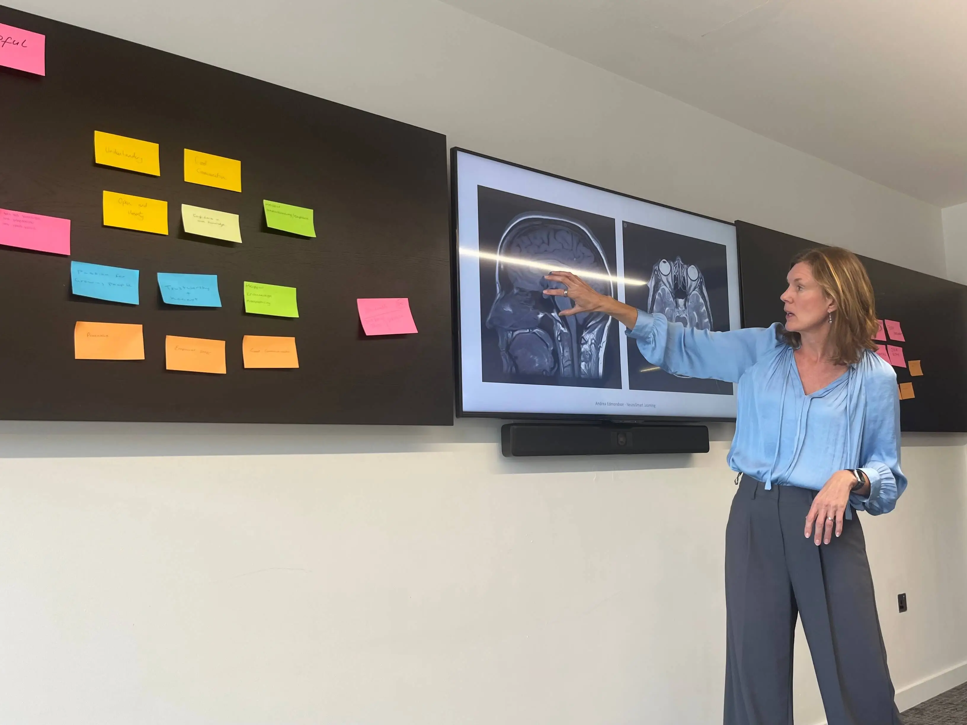 Presenter pointing to board of the nervous system