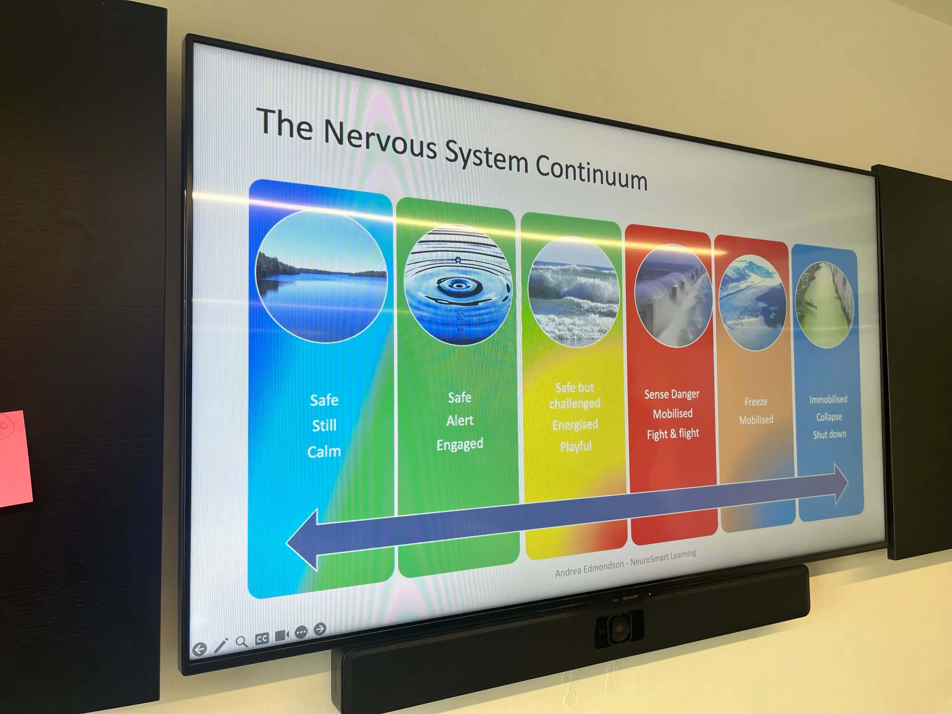 PowerPoint slide of the nervous system