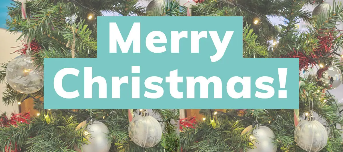 Merry Christmas 2022