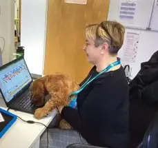 Staff enjoying hug with puppy