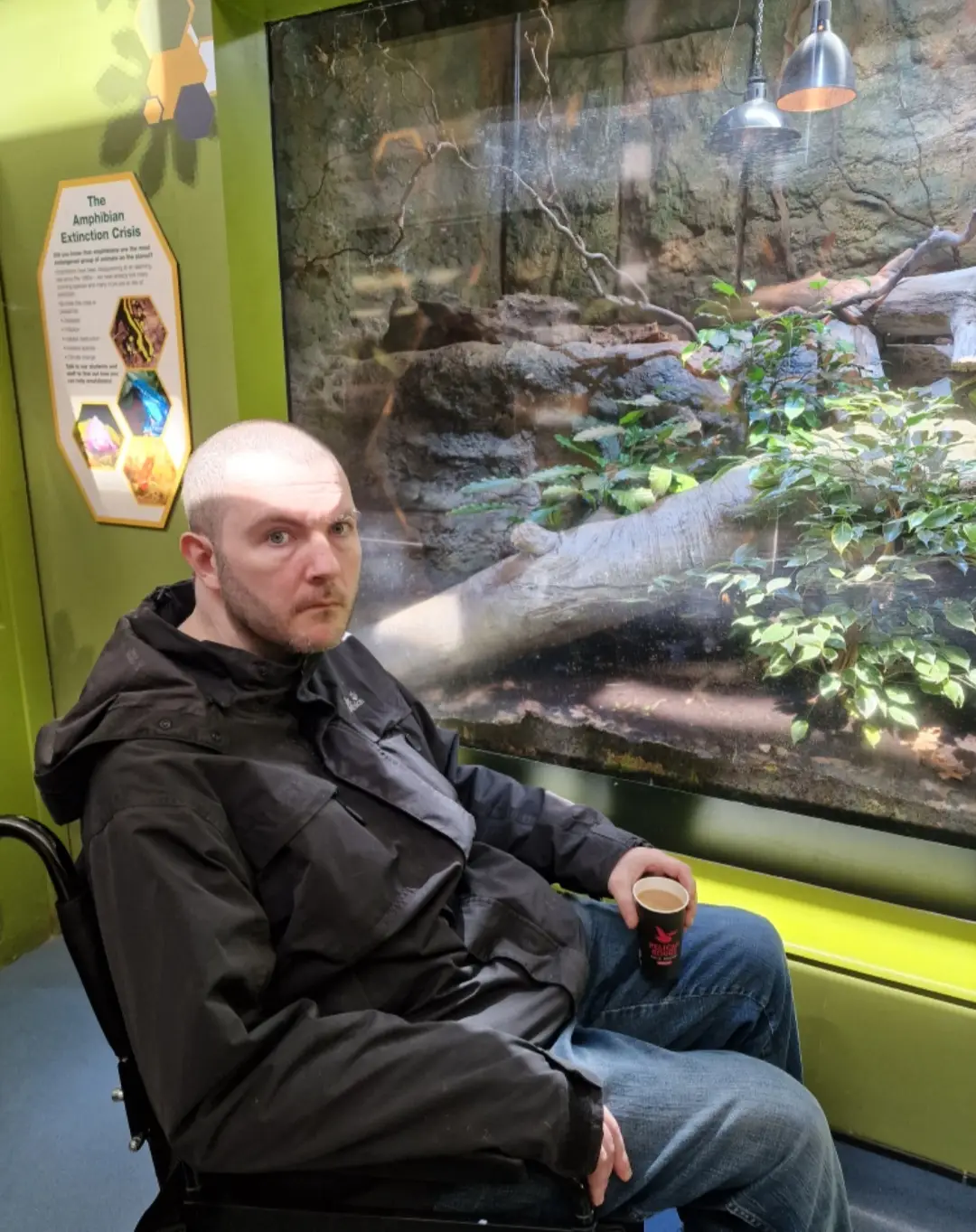 resident looking at museum display