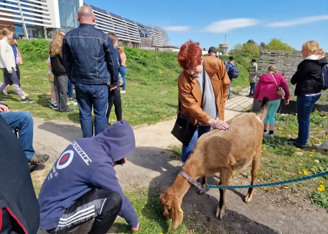 resident petting a goat at the farm