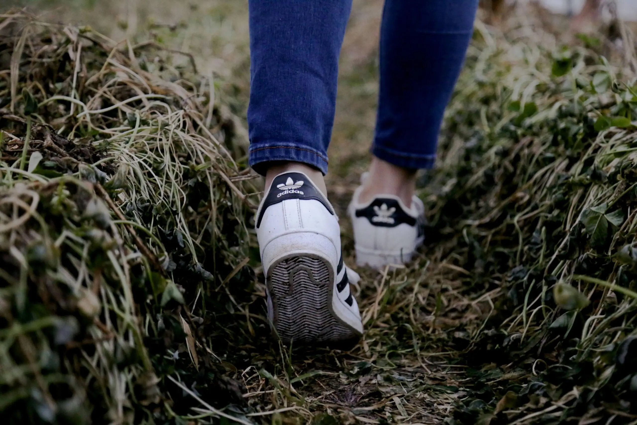 Trainers walking through muddy field