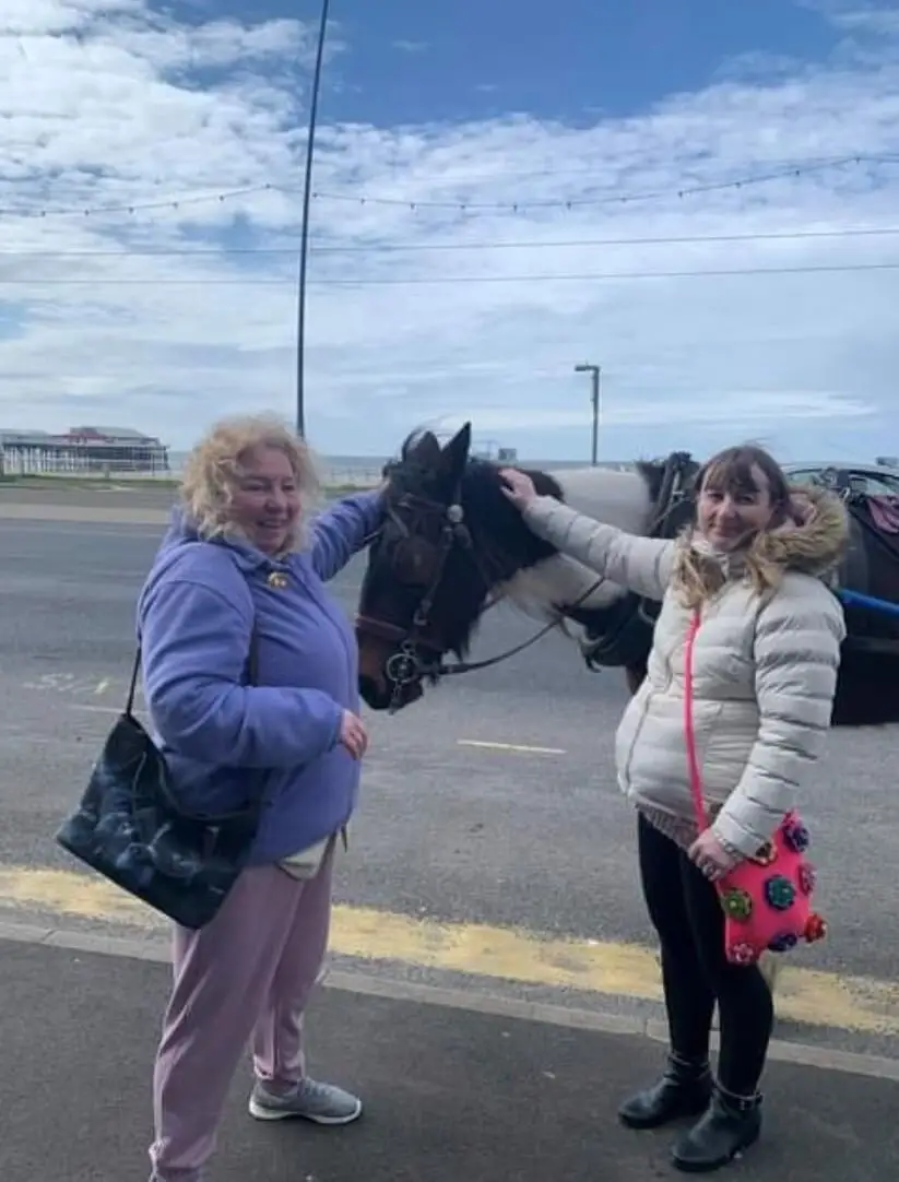 residents stroking horse