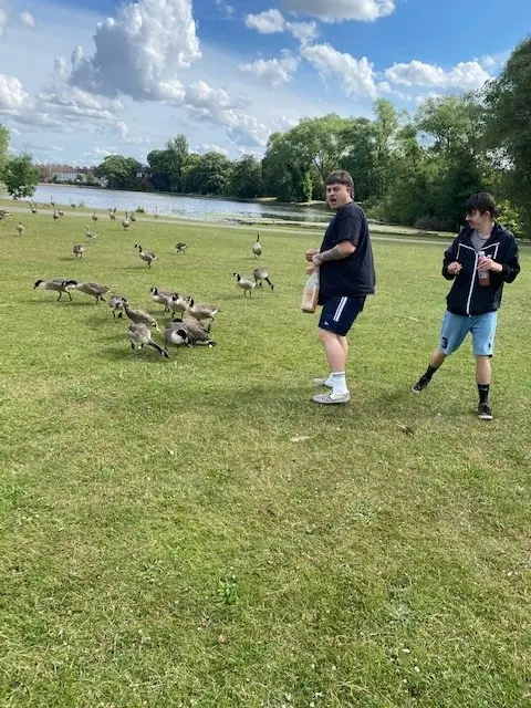 2 males feeding geese