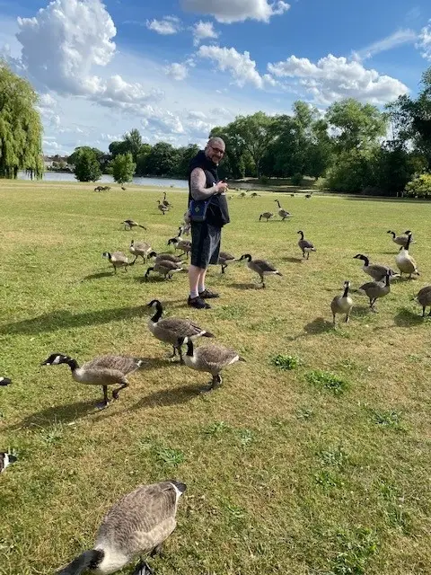 male feeding geese