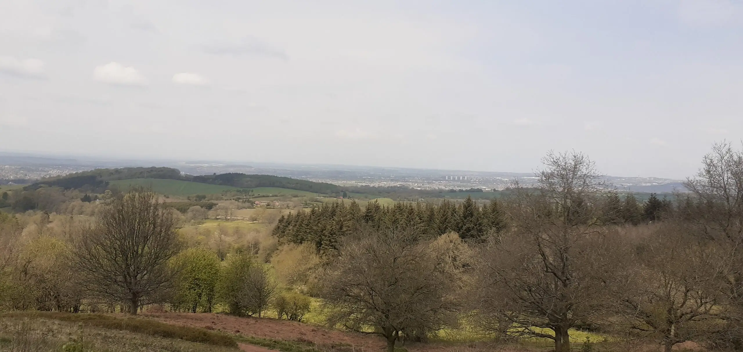Connect with nature: clent walk