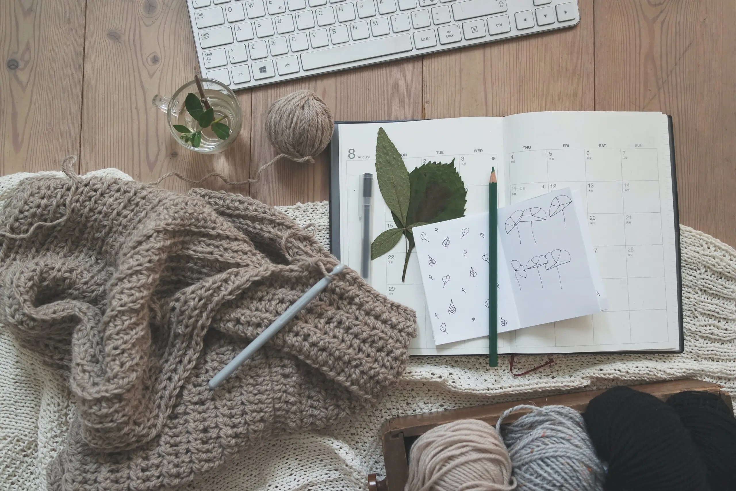 flatlay of books and knitting
