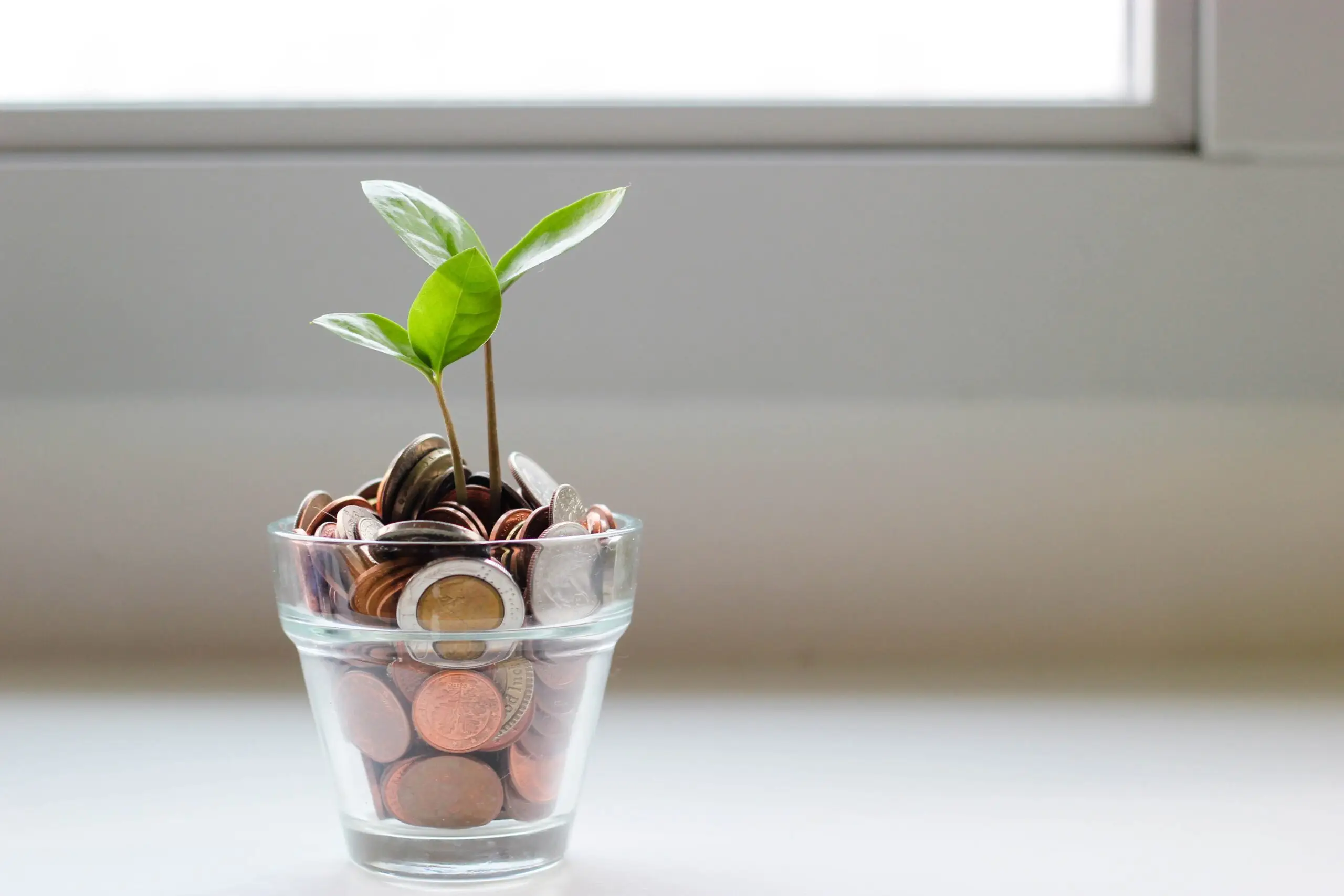 shot glass filled with coins and plant growing out the top