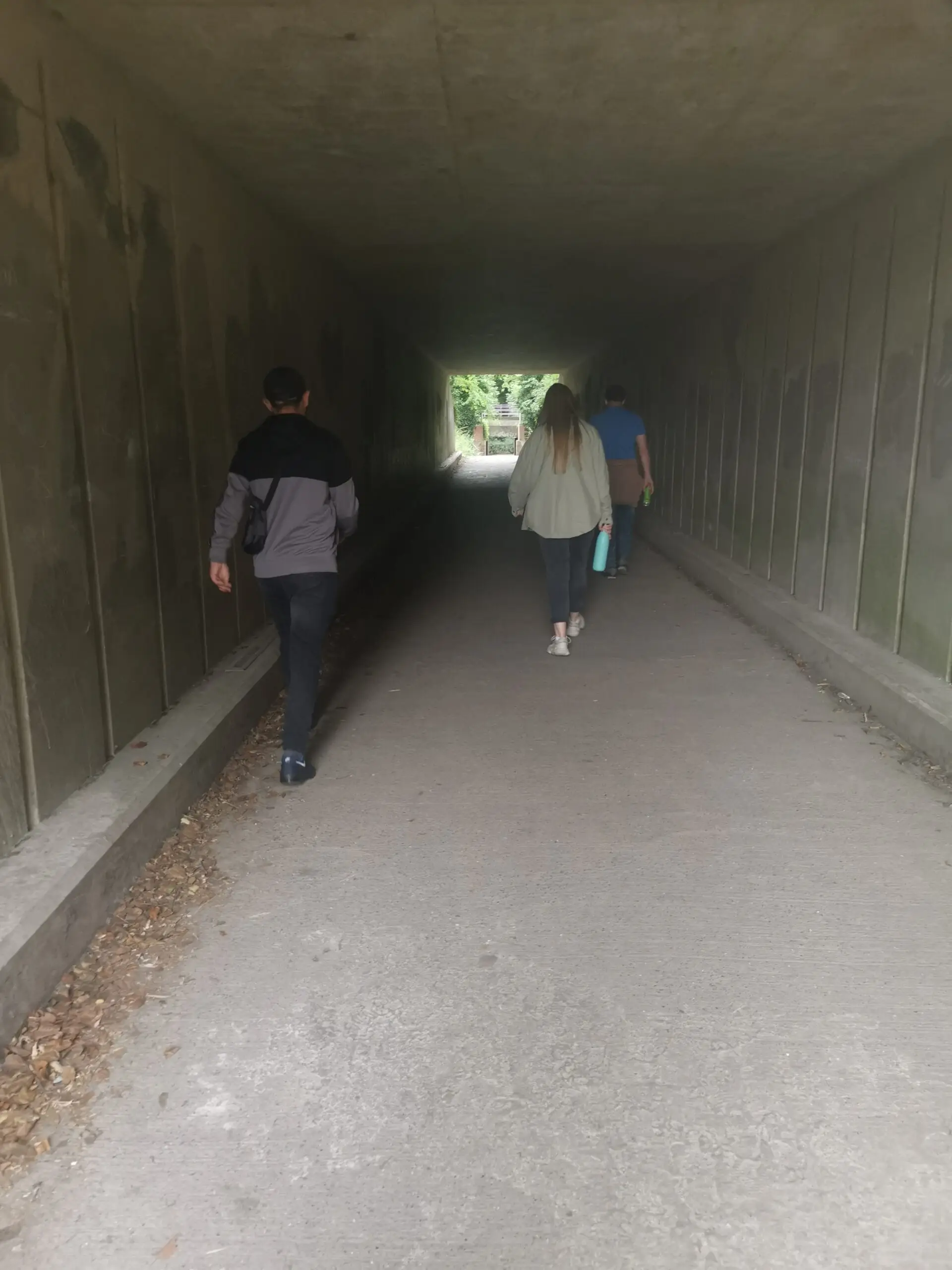 residents walking through tunnel at park