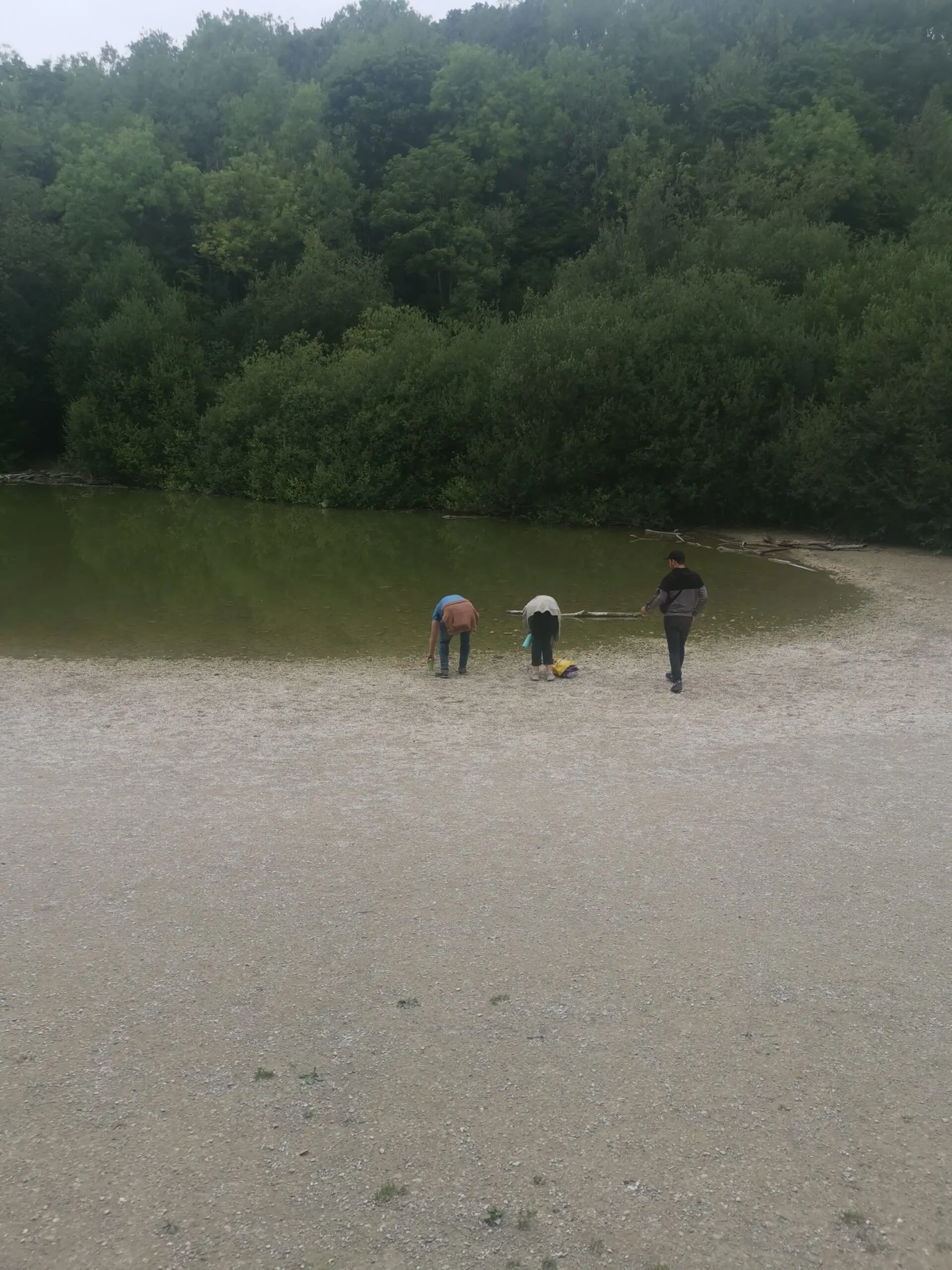 residents at pond in park