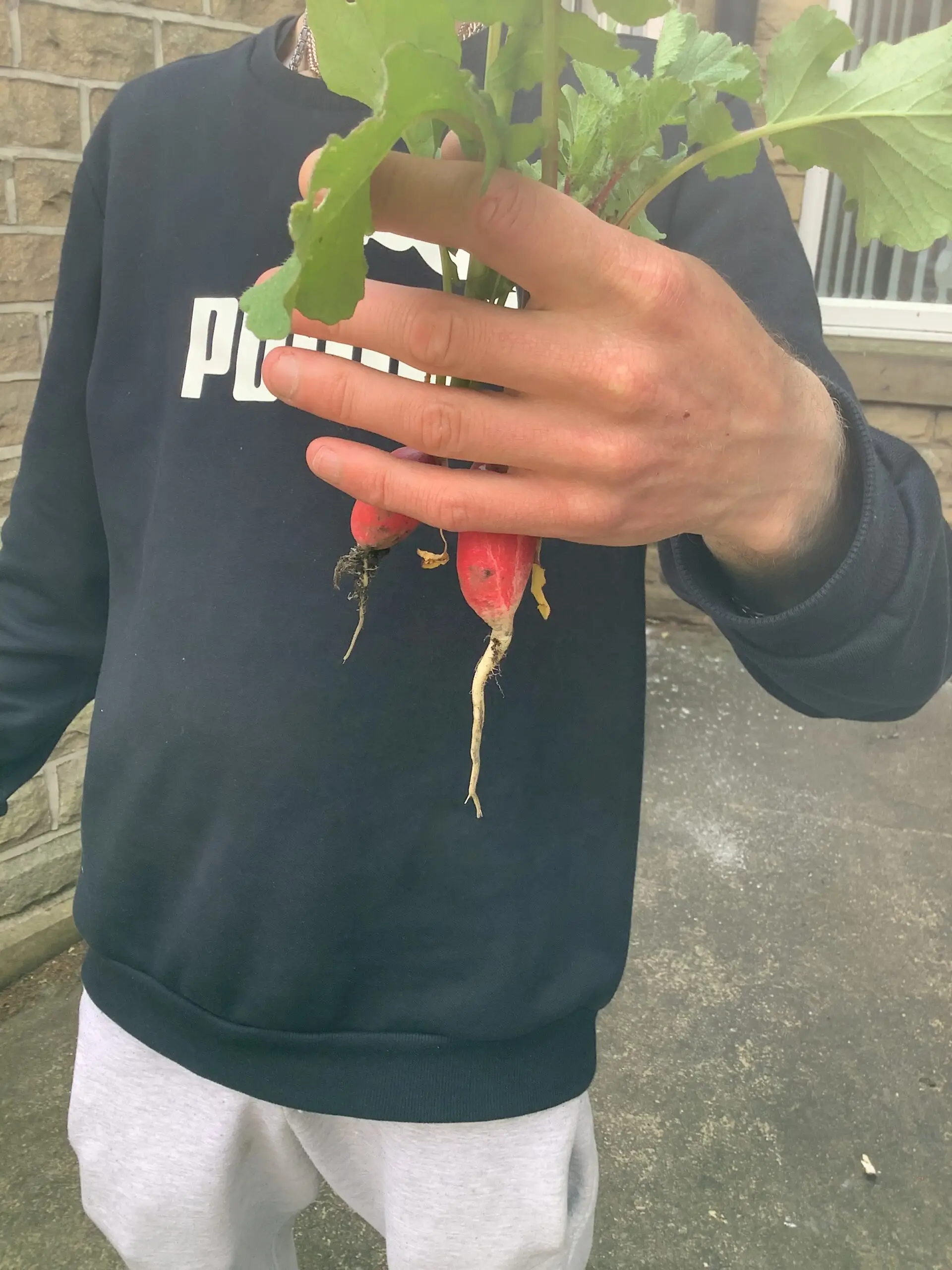person holding up radish to camera