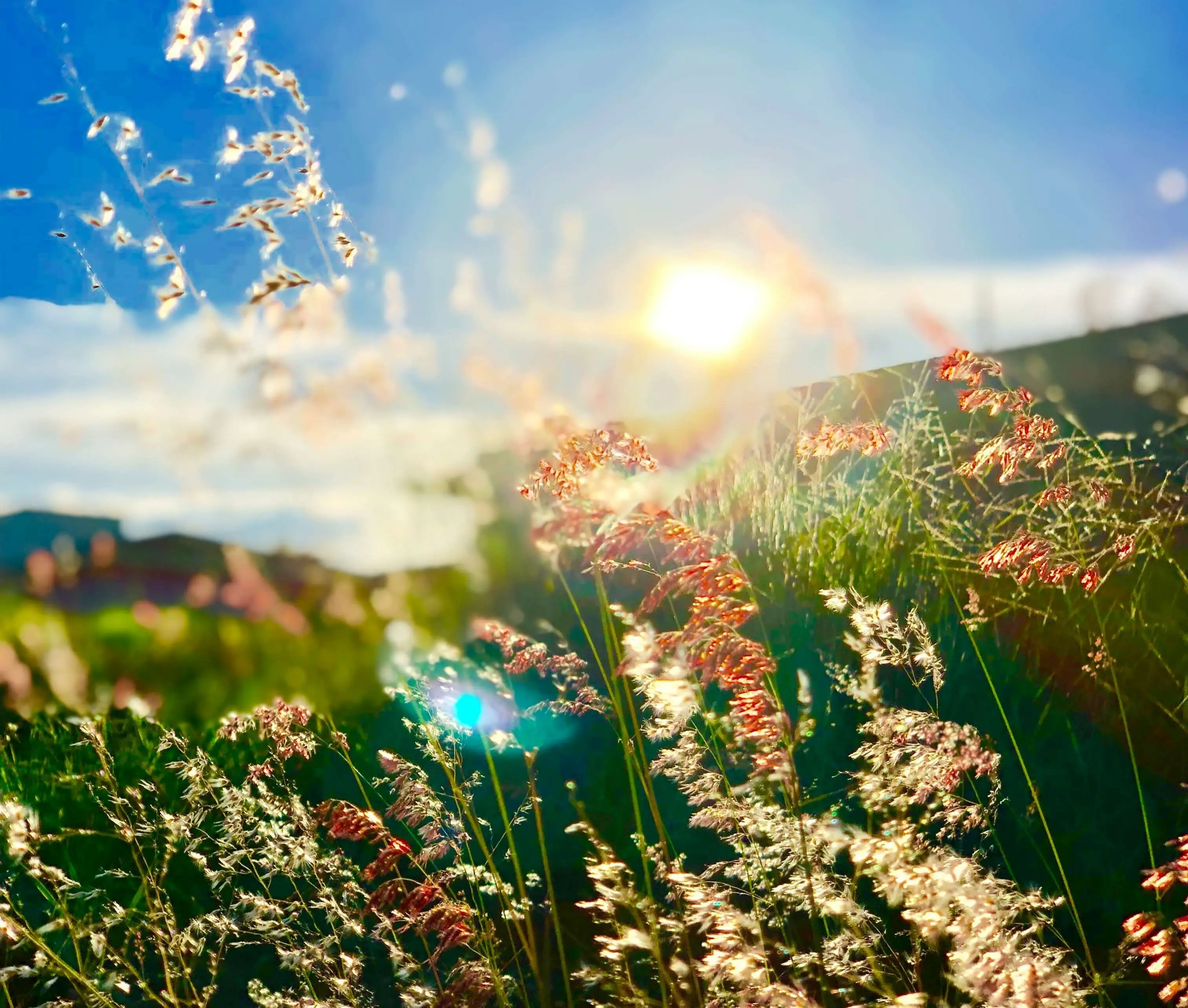 A peaceful springtime scene of fields in the sunshine, representing spring as a season of mindfulness.