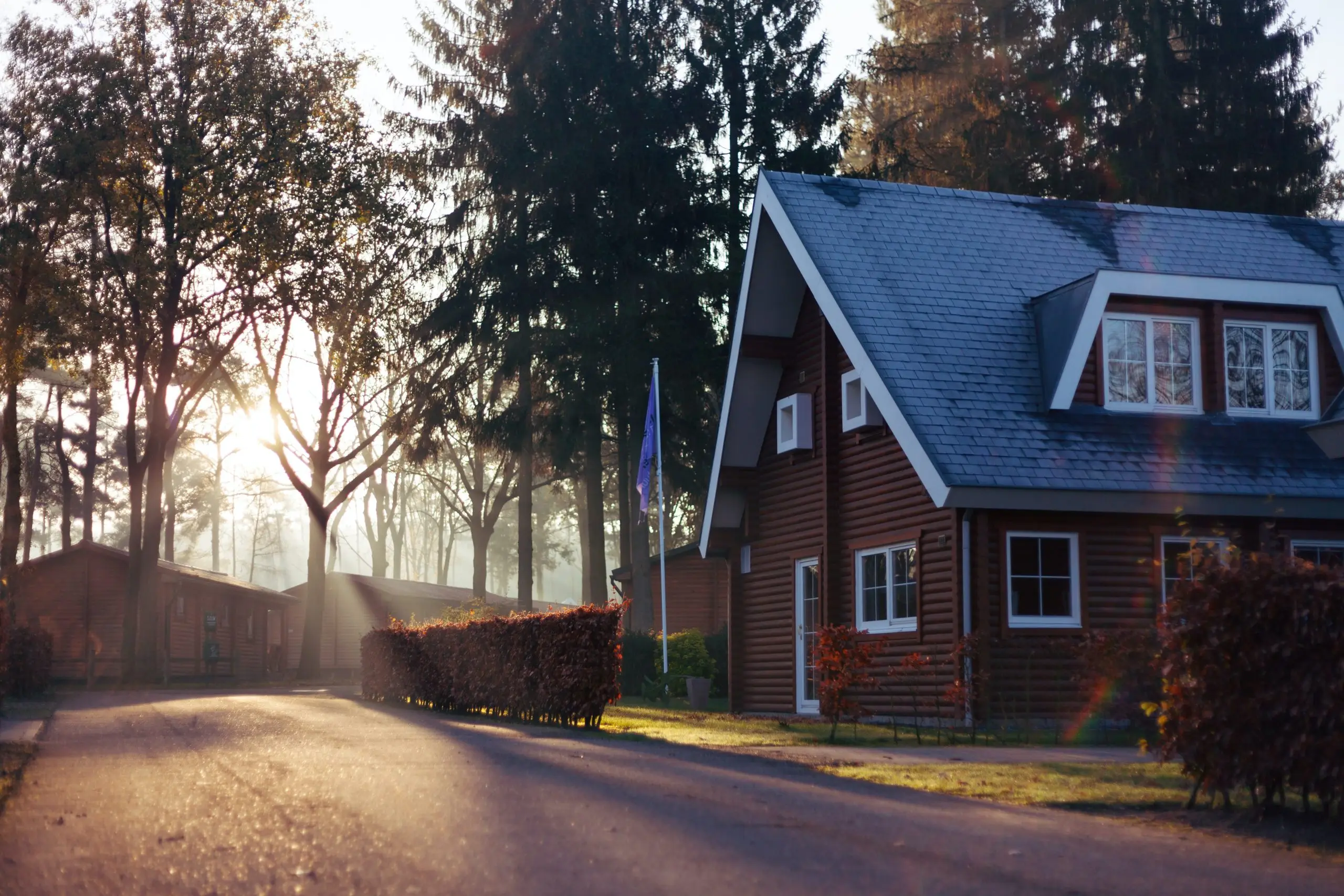 Resident's Stories: home illuminated by sunlight shining through trees