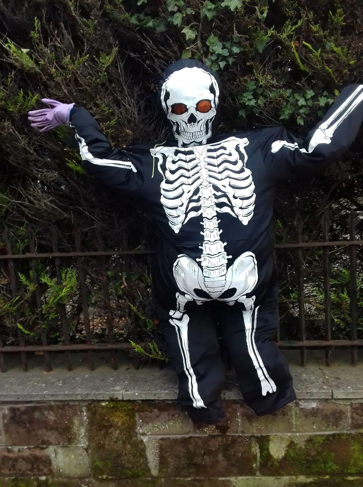 skeleton attached to fence outside