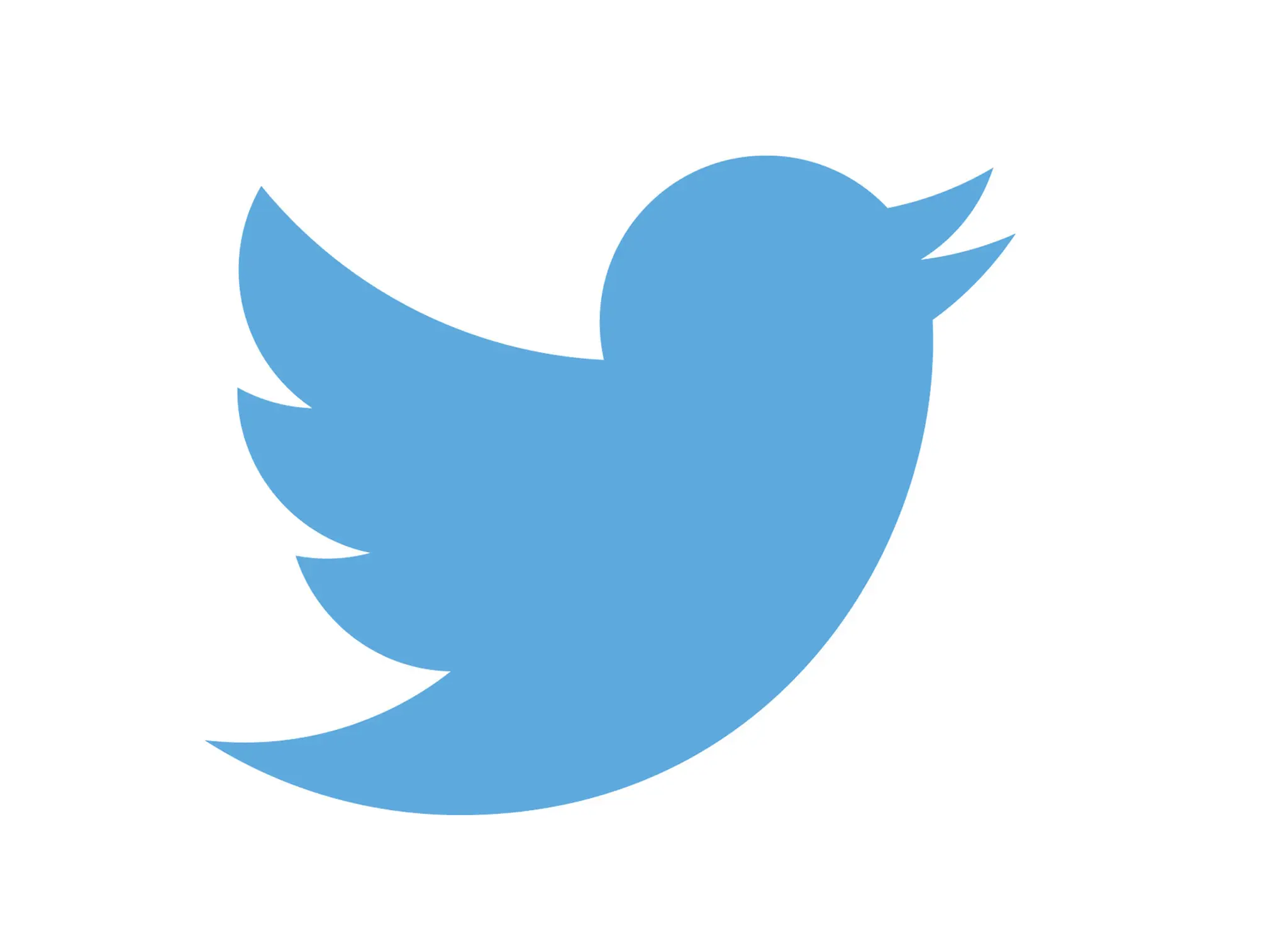 twitter logo - blue bird